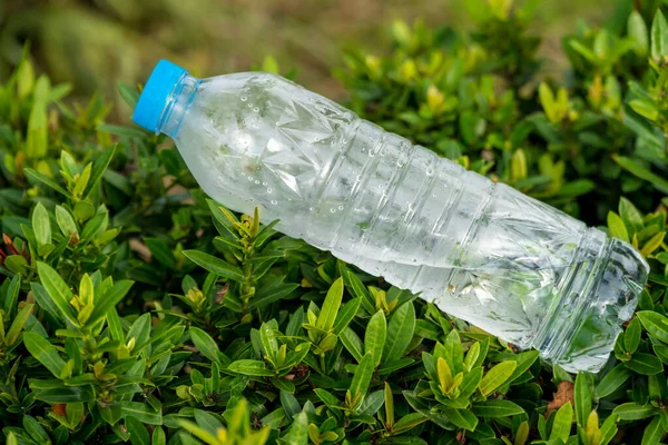 Behavior of bad people who dump bottles of drinking water in bushes in the park.