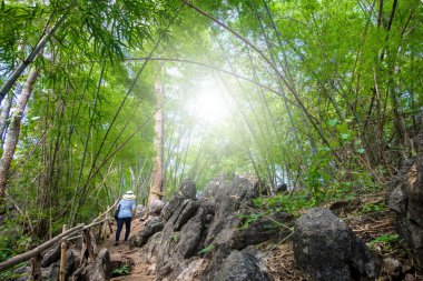 Orta yaşlı bir kadın doğa yolunda yürüyor.