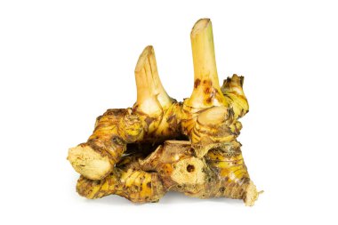 Beyaz arkaplandaki galangal grubu