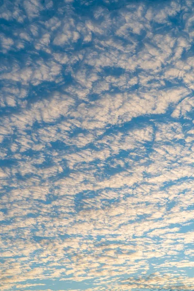 Güneşli Bir Günde Altokümülüs Bulutları Bulutlar Sabah Gökyüzünde — Stok fotoğraf