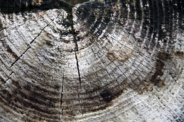 Textura ecológica natural — Fotografia de Stock