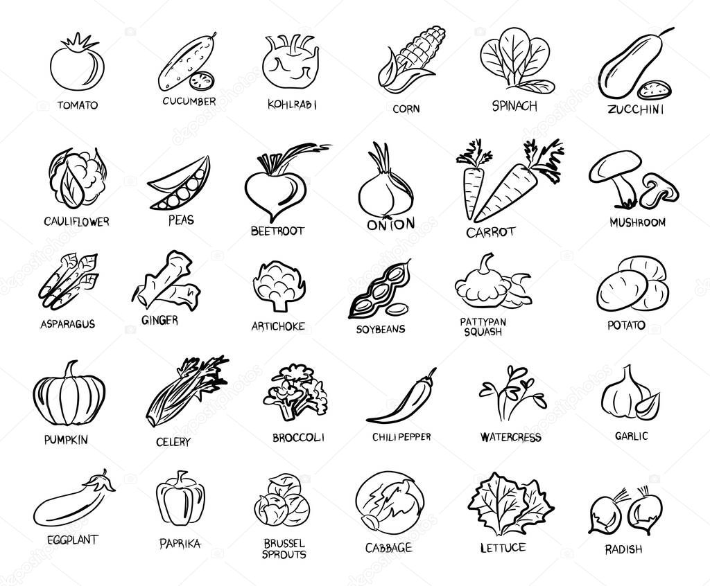 Vegan set of icons with vegetables. A vegan and a vegetarian. Vegetables, mushrooms, grass and roots. Proper nutrition. Vegetable food. Vector isolated image.