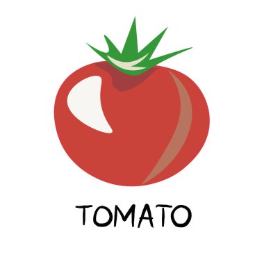 Marul, lahana, brokoli, otlar, lahanalar. Sebzeler, mantarlar, kökler ve meyveler. Vegan, sebzeli vejetaryen ikonlar. Doğal renkler. Sebzeler, mantarlar, ot ve kökler. Düzgün beslenme. Sebze yemeği. İzole edilmiş vektör resmi.
