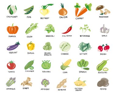 Marul, lahana, brokoli, otlar, lahanalar. Sebzeler, mantarlar, kökler ve meyveler. Vegan, sebzeli vejetaryen ikonlar. Doğal renkler. Sebzeler, mantarlar, ot ve kökler. Düzgün beslenme. Sebze yemeği. İzole edilmiş vektör resmi.