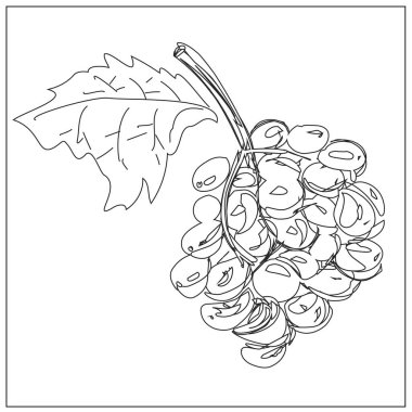  Meyve ve meyveli vejetaryen ikonu. Çilek, kiraz, erik, üzüm, muz, karpuz, kavun, şeftali, elma, armut, ananas, nar, Hindistan cevizi. Düzgün beslenme. İzole vektör nesneleri