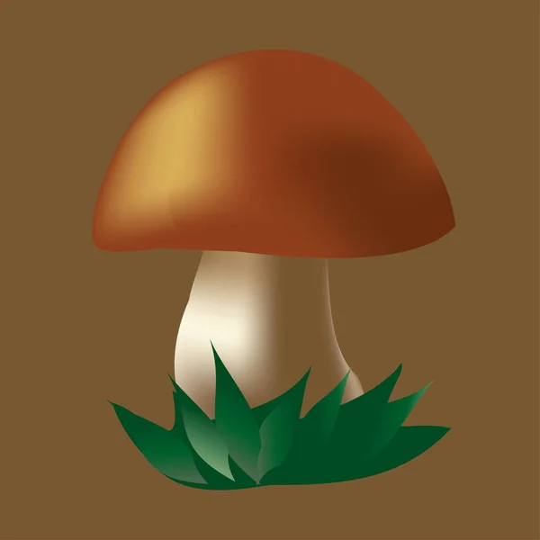 Champignon Volumineux Saison Automne Nature Automne Champignon Forestier Dans Herbe — Image vectorielle