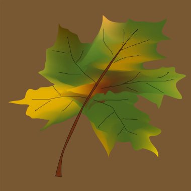 Sonbahar yaprağı koleksiyonu. Sonbahar yaprakları. Çok renkli sonbahar yaprakları, sonbahar yaprakları, akçaağaç, meşe, huş ağacının üç boyutlu simgelerini bırakır. Kırmızı, sarı, yeşil kahverengi yapraklar. İzole vektör nesneleri.