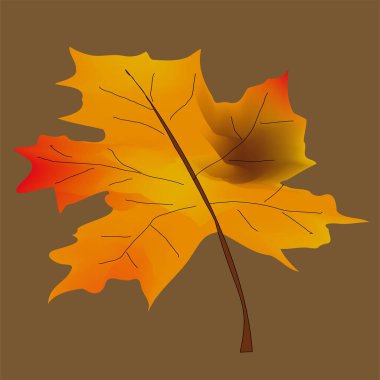 Sonbahar yaprağı koleksiyonu. Sonbahar yaprakları. Çok renkli sonbahar yaprakları, sonbahar yaprakları, akçaağaç, meşe, huş ağacının üç boyutlu simgelerini bırakır. Kırmızı, sarı, yeşil kahverengi yapraklar. İzole vektör nesneleri.