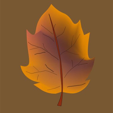 Sonbahar yaprağı koleksiyonu. Sonbahar yaprakları. Çok renkli sonbahar yaprakları, sonbahar yaprakları, akçaağaç, meşe, huş ağacının üç boyutlu simgelerini bırakır. Kırmızı, sarı, yeşil kahverengi yapraklar. İzole vektör nesneleri.