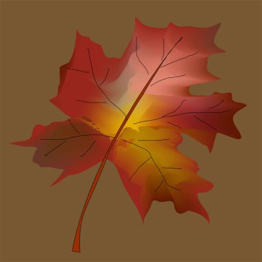 Sonbahar yaprağı koleksiyonu. Sonbahar yaprakları. Çok renkli sonbahar yaprakları, sonbahar yaprakları, akçaağaç, meşe, huş ağacının üç boyutlu simgelerini bırakır. Kırmızı, sarı, yeşil kahverengi yapraklar. İzole vektör nesneleri.