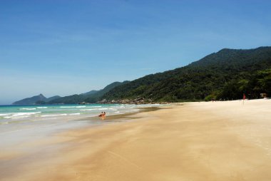 Lopes Mendes plajı Rio de Janeiro eyaletinin büyük adasında..