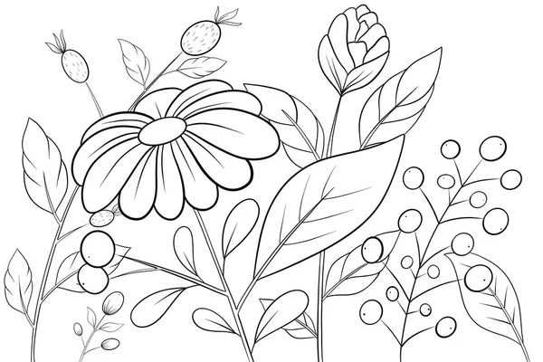 Új színező könyv antistress gyönyörű erdei virágok levelek és bogyók lineart — Stock Fotó