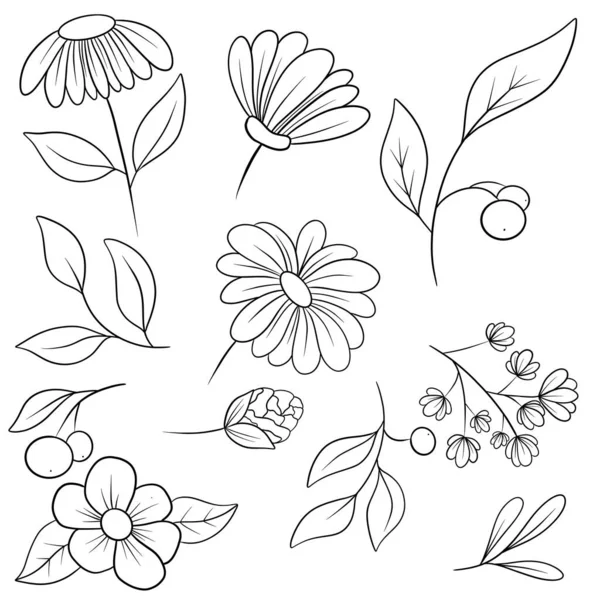 Färbung von Antistress mit schönen Blütenknospen und Zweigen mit Blättern in schwarzen Linien für Malerei und Entwicklung — Stockfoto