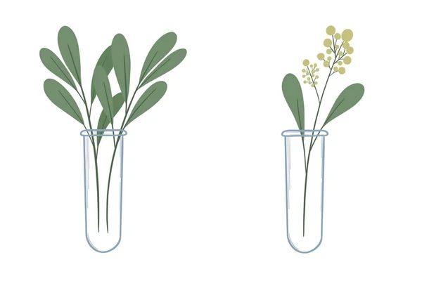 Aranyos címke logó grafika növényi levelek kémcsőben kis váza matrica és banner dekoráció — Stock Fotó