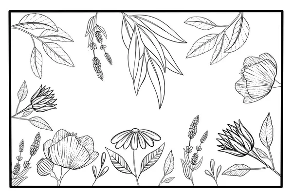 Página de coloração anti stress para crianças relaxamento e desenvolvimento com belas flores ramos botânica cartaz — Fotografia de Stock