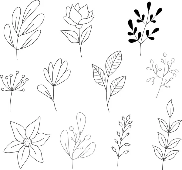 Vektor klotter söta blommor kvistar blad bär uppsättning logotyper tecknad stil svarta linjer silhuetter — Stock vektor