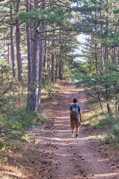 Hombre Con Una Mochila Está Caminando Largo Del Sendero Hermoso — Foto de Stock