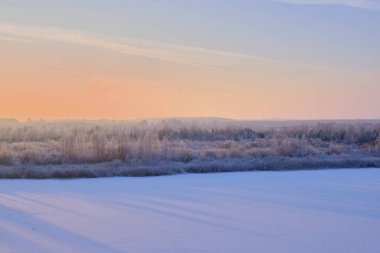Doğada güzel bir kış günbatımı. Gölün karla kaplı yüzeyi, ağaçlar ve çalılar.