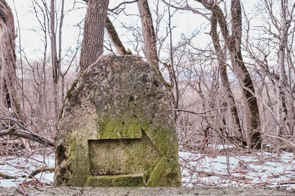 오래 된 공원의 이끼로 덮인 돌에 화살 사인이 새겨져 있었습니다. 러시아 젤 레즈 노 보츠 크 — 스톡 사진