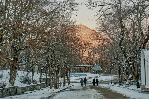 Zimowy Krajobraz Aleja Miejskim Pokrytym Śniegiem Parku Zheleznovodsk Rosja — Zdjęcie stockowe