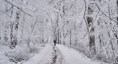 Winter cityscape. Snow-covered Cascade staircase of the park is a tourist attraction of the resort town Zheleznovodsk, Russia.