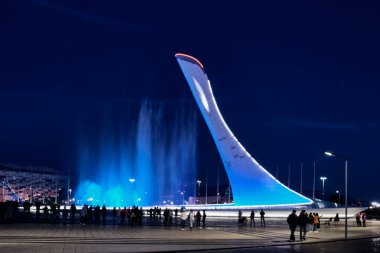 Rusya 'nın Sochi kentindeki Olimpiyat Parkı' nda akşam gösterisi.