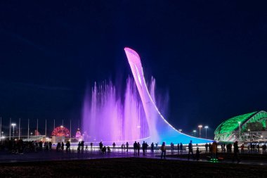 Rusya 'nın Sochi kentindeki Olimpiyat Parkı' nda akşam gösterisi.