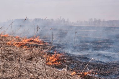 Baharda, tarlada kuru otlar yanar..