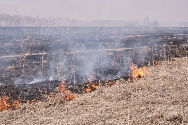 Baharda, tarlada kuru otlar yanar..