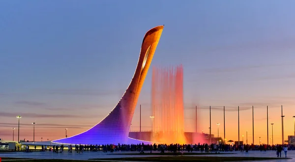 Rusya 'nın Sochi kentindeki Olimpiyat Parkı' nda akşam gösterisi.