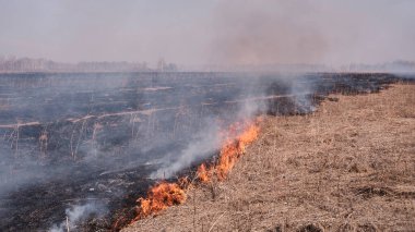 Baharda, tarlada kuru otlar yanar..