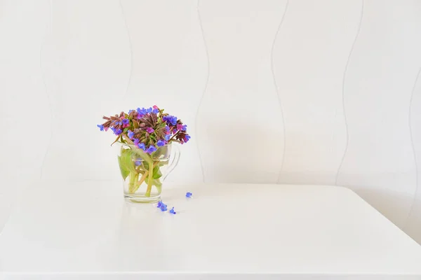 Bukiet leśnych kwiatów płuca w szklanym kubku — Zdjęcie stockowe