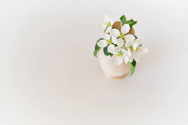 Une belle branche de pommier aux fleurs blanches dans un vase en bois — Photo