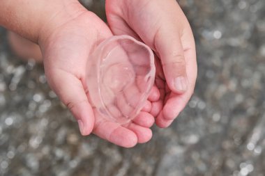 The childs hands are carefully holding a small transparent jellyfish