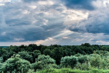 Dramatik gökyüzü ile yaz yaban hayatı manzarası.