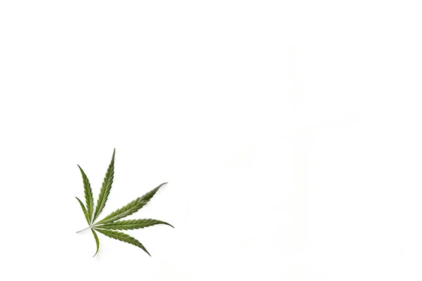 Flat lay composition with one hemp leaf at corner on white background. — Stock Photo, Image
