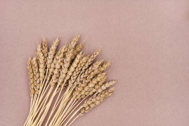 Kahverengi arka planda bir demet buğday. Düz yatıyordu.