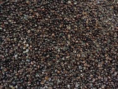 Kahve çekirdekleri parlak