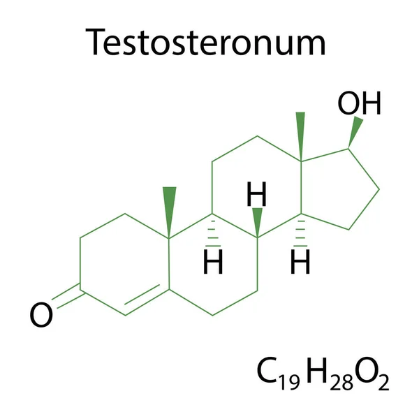 테스토스테론 테론의 화학적 구조입니다 Schematic Illustration Stock Image Eps — 스톡 벡터