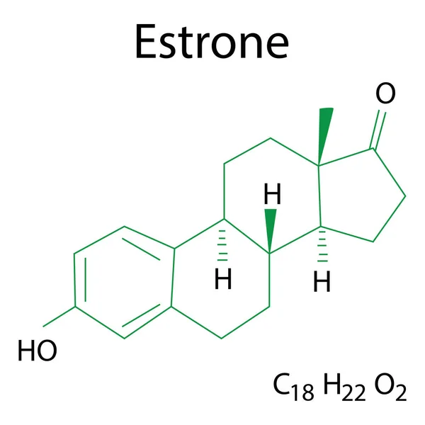 Moleculaire Structuur Estrone Formule Platte Illustratie Voorraad Afbeelding Eps — Stockvector