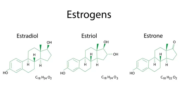 Platte Oestrogeenformules Moleculaire Structuur Vector Illustratie Voorraad Afbeelding Eps — Stockvector