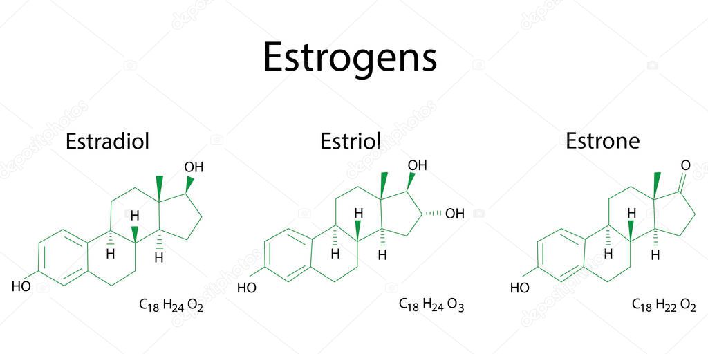 Flat estrogen formulas. Molecular structure. Vector illustration. Stock image. EPS 10.