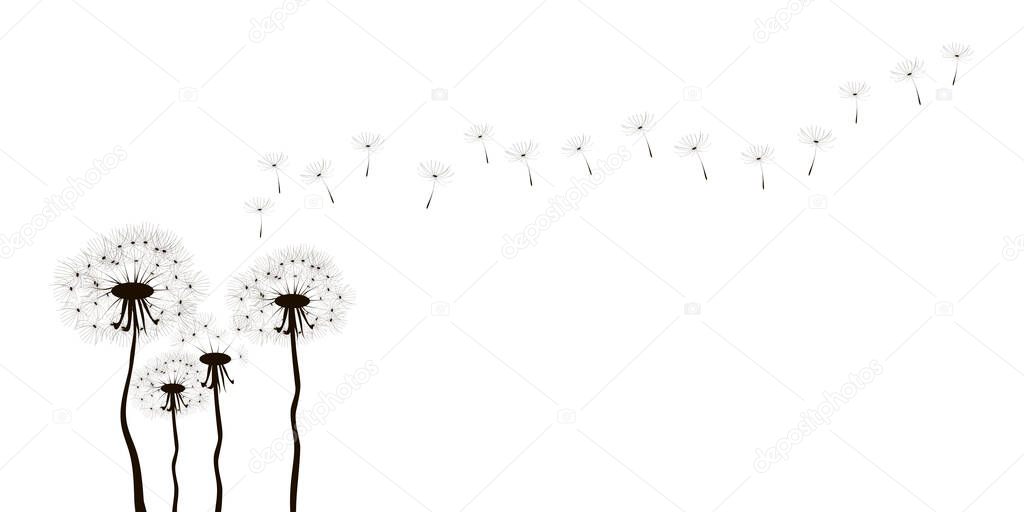 Dandelions silhouette, great design for any purposes. Sketch black illustration on white backdrop. Stock image. EPS 10.