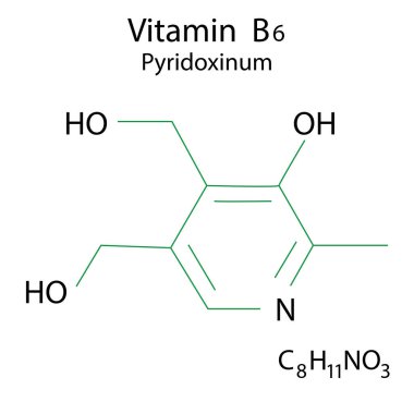 Pyridoksin formülü B6. Vektör düzlüğü. Tıbbi araştırma. Moleküler yapı. Vektör çizimi. Resim yükle.