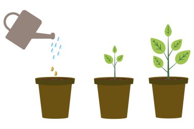 Doğa çizimi. Botanik geçmişi. Sulama kabı farklı boyutlarda. Hisse senedi. EPS 10.