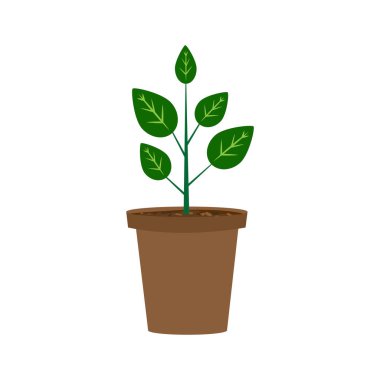 Çiçek saksısı yeşil yapraklar düz stil. Doğa çizimi. Çiçek arkaplan. Hisse senedi. EPS 10.