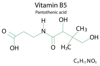 Yaşam tarzı tasarımı için B 5 vitamini içeren düz simge. Sağlık hizmetleri. B 5 vitamini formülü. Hisse senedi. Vektör çizimi. EPS 10.