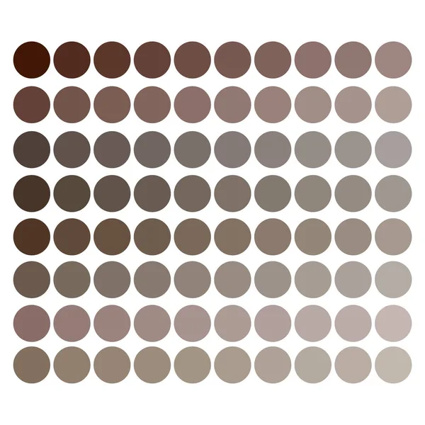 Colorful skin tones palette. Beige tones palette. Colorful palette. Pastel color. Vector illustration. Stock image. — Stock Vector