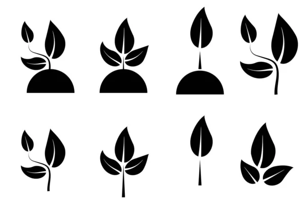 Növekvő szár sziluett ikon. Természet háttér. Mezőgazdasági szimbólum. Növekedési folyamat. Vektor illusztráció. Készletkép. — Stock Vector