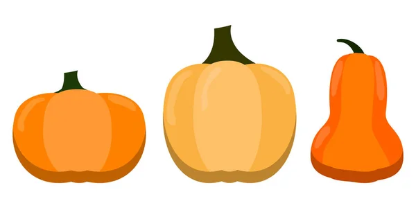 Ensemble de citrouilles orange. Symbole du jour de Thanksgiving. Temps des fêtes. Légumes d'octobre. Illustration vectorielle. Image de stock. — Image vectorielle